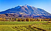 Sopris_Turnbull-field_web.jpg